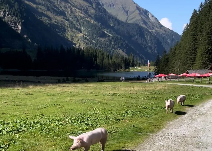 Hotel In The Heart Of The Alps Uttendorf